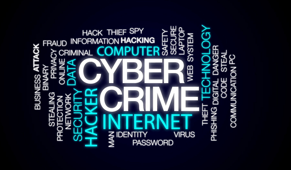 cyber crime